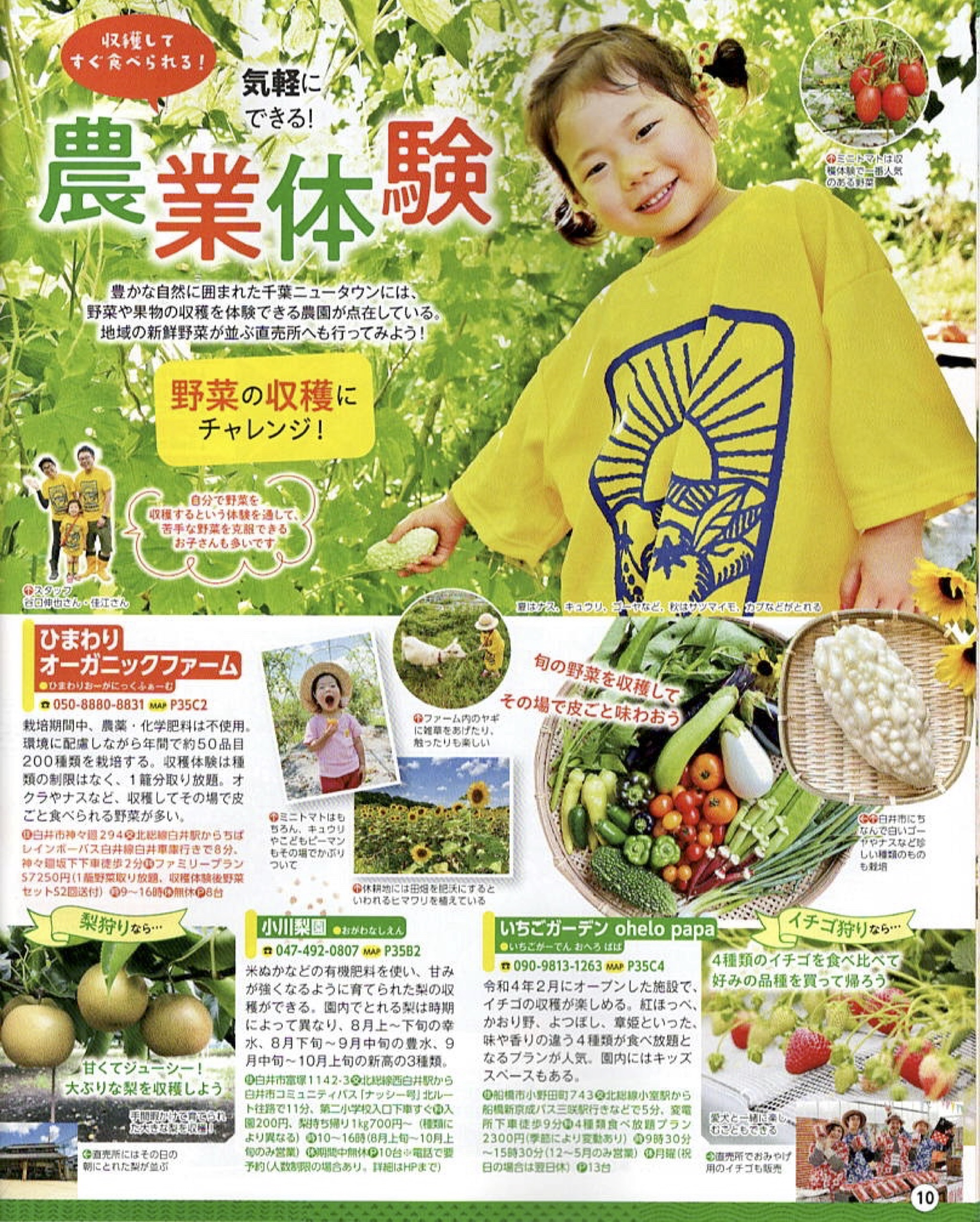 るるぶ 千葉ニュータウン に特集掲載していただきました ひまわりオーガニックファーム