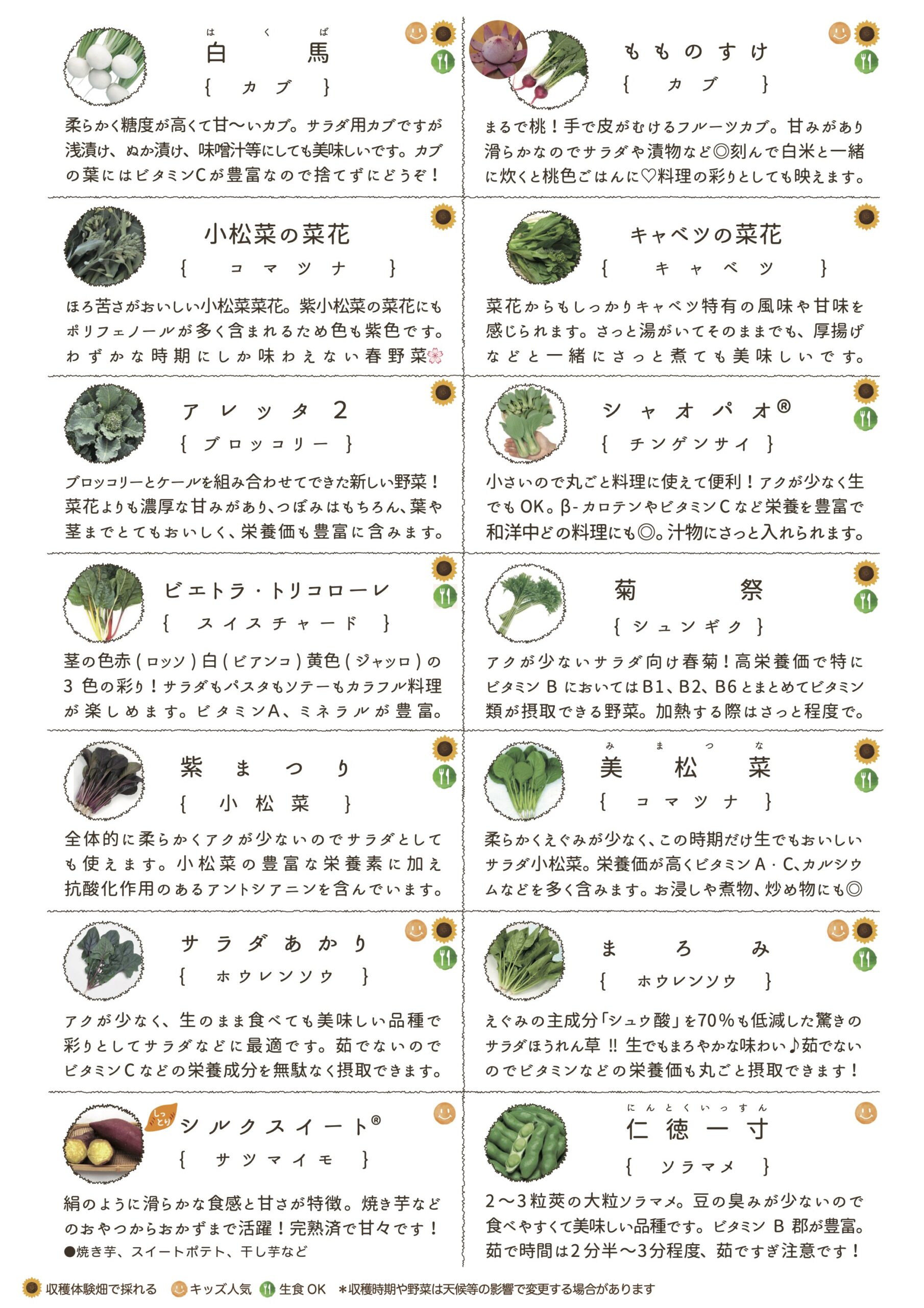 現在収穫できる野菜について(2024年4月9日更新) | ひまわり